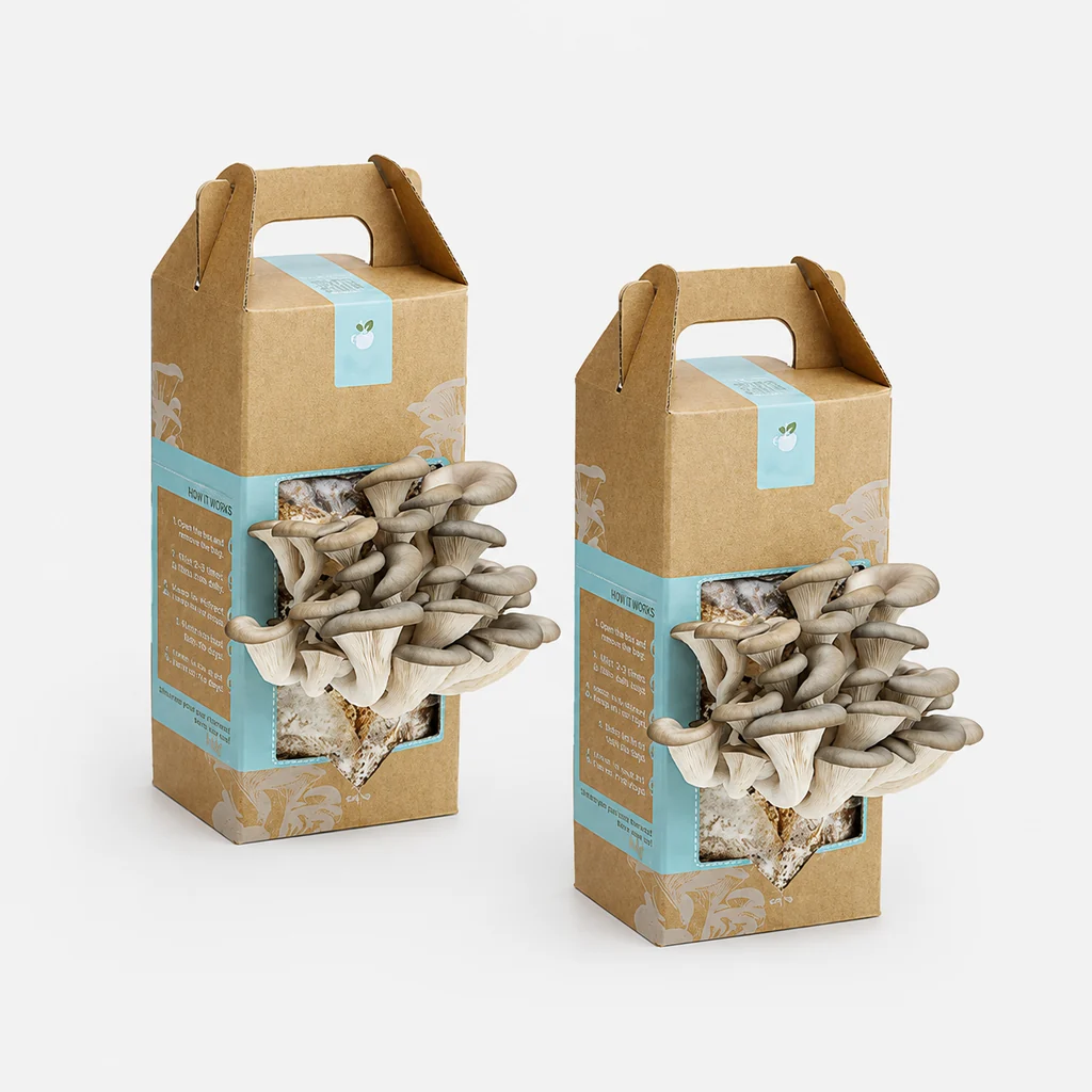 Custom Mushroom Boxes