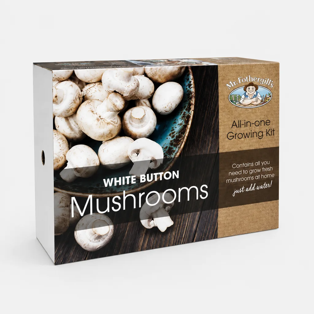 Mushroom Boxes With Logo