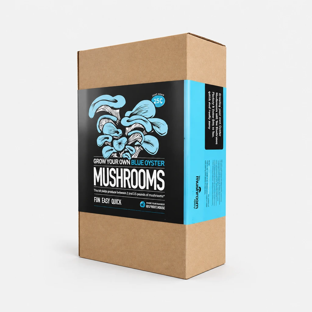 Mushroom Packaging Wholesale