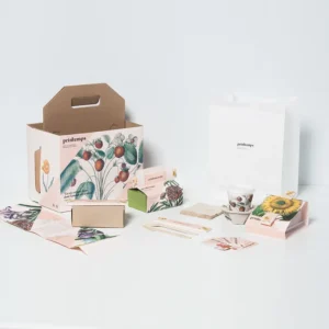 Custom Influencer Boxes - image 3